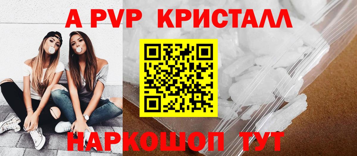 Альфа ПВП СК Новокузнецк