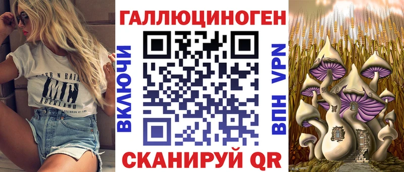 mega ссылка Новокузнецк Галлюциногенные грибы Psilocybe что такое