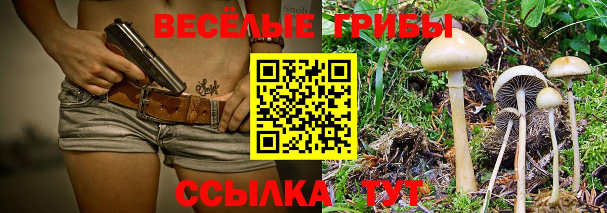 Галлюциногенные грибы Cubensis Новокузнецк